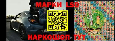 гидра Моздок