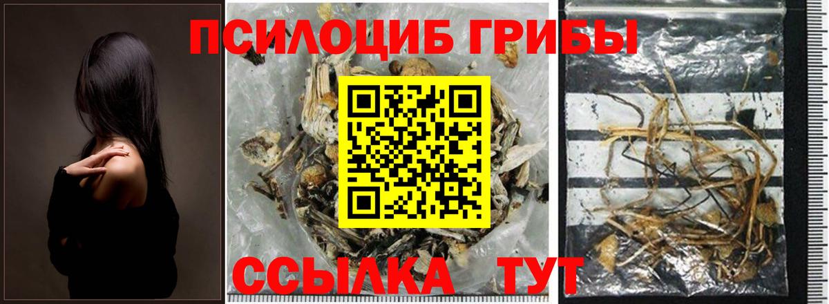 Галлюциногенные грибы прущие грибы  Вход с VPN  Псилоцибиновые грибы прущие грибы  Сарапул 